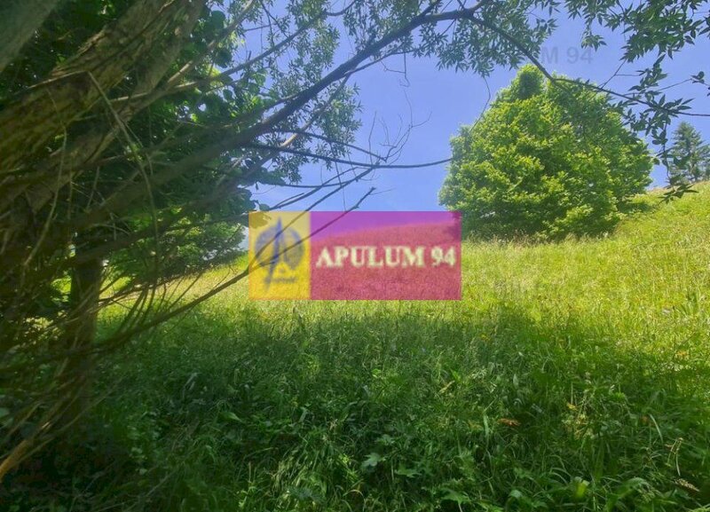 Teren de vanzare in Busteni - Zona Zamora