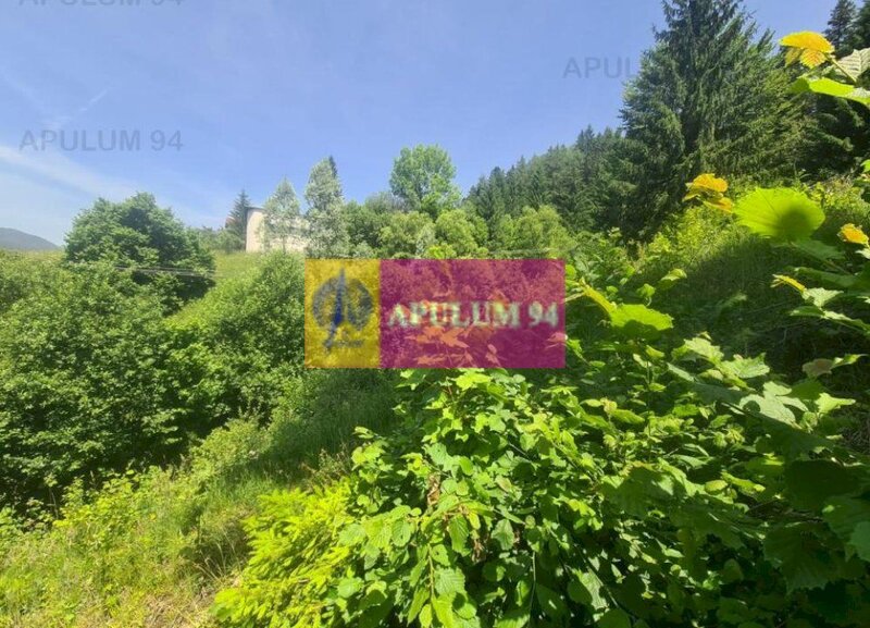 Teren de vanzare in Busteni - Zona Zamora