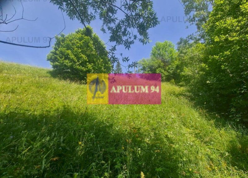 Teren de vanzare in Busteni - Zona Zamora