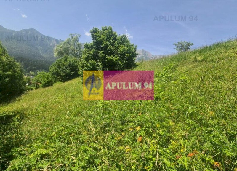 Teren de vanzare in Busteni - Zona Zamora