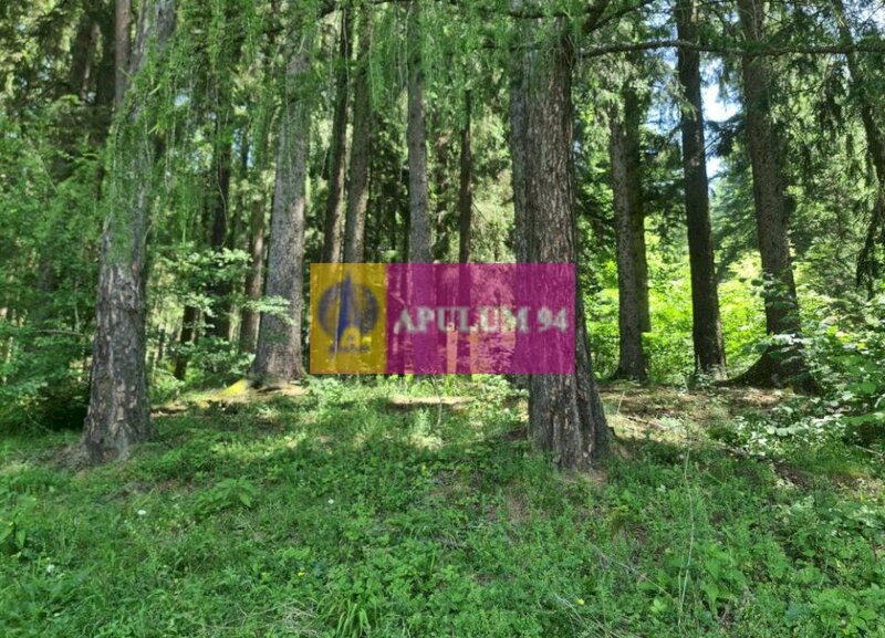 Teren de vanzare in Busteni - Zona Zamora