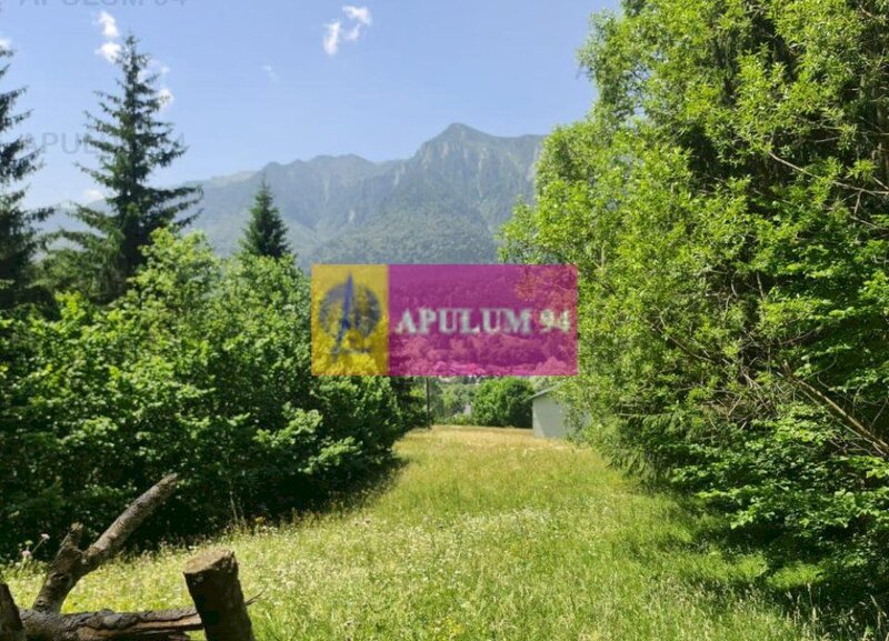 Teren de vanzare in Busteni - Zona Zamora