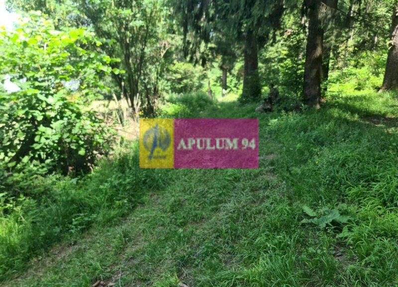 Teren de vanzare in Busteni - Zona Zamora