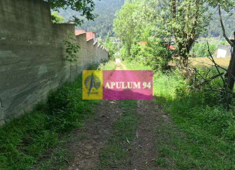 Teren de vanzare in Busteni - Zona Zamora