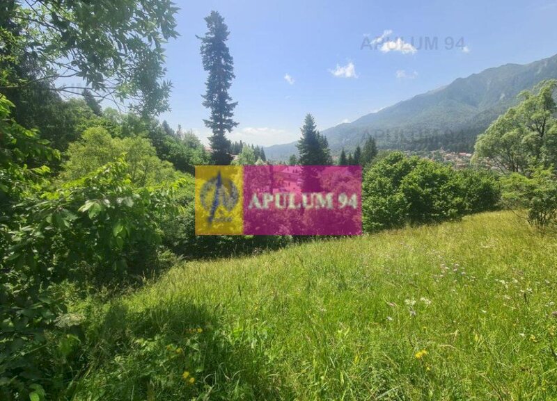 Teren de vanzare in Busteni - Zona Zamora