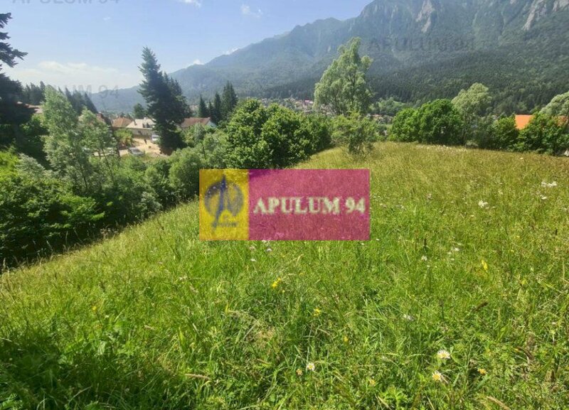 Teren de vanzare in Busteni - Zona Zamora