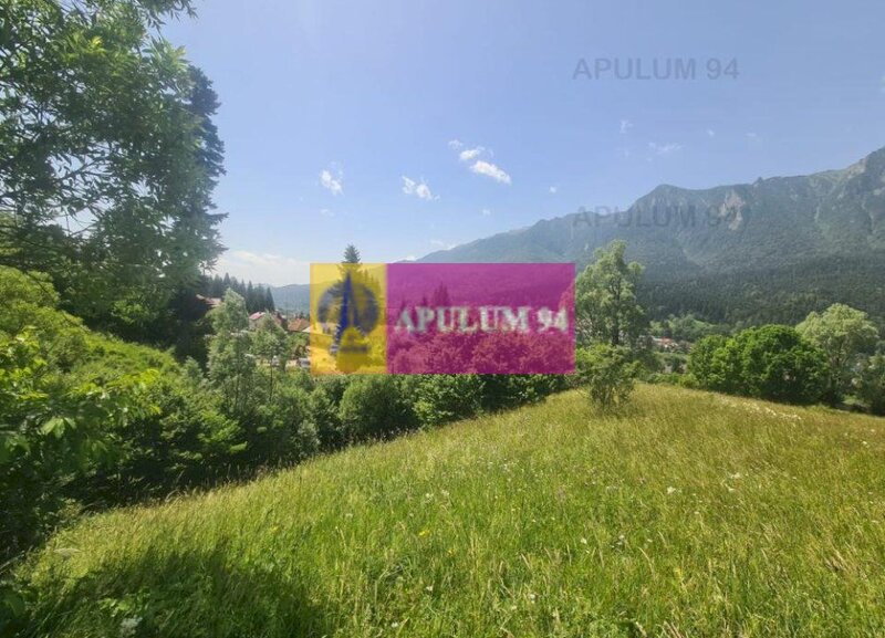 Teren de vanzare in Busteni - Zona Zamora