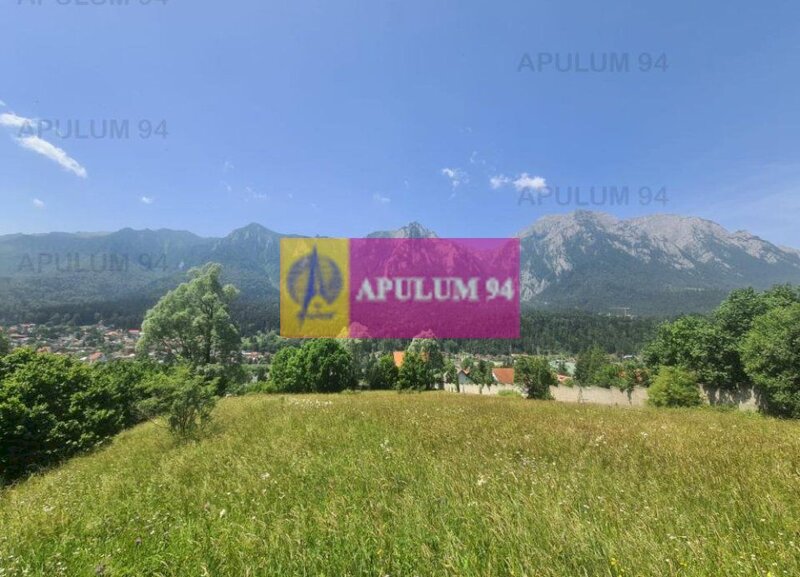 Teren de vanzare in Busteni - Zona Zamora