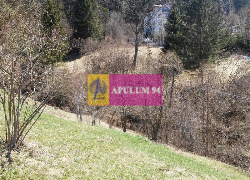 Teren de vanzare in Busteni - Zona Zamora