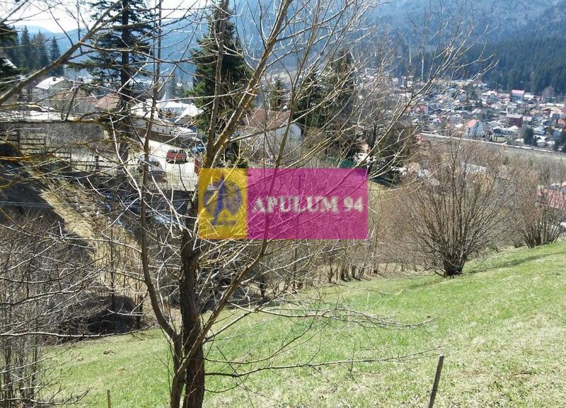 Teren de vanzare in Busteni - Zona Zamora